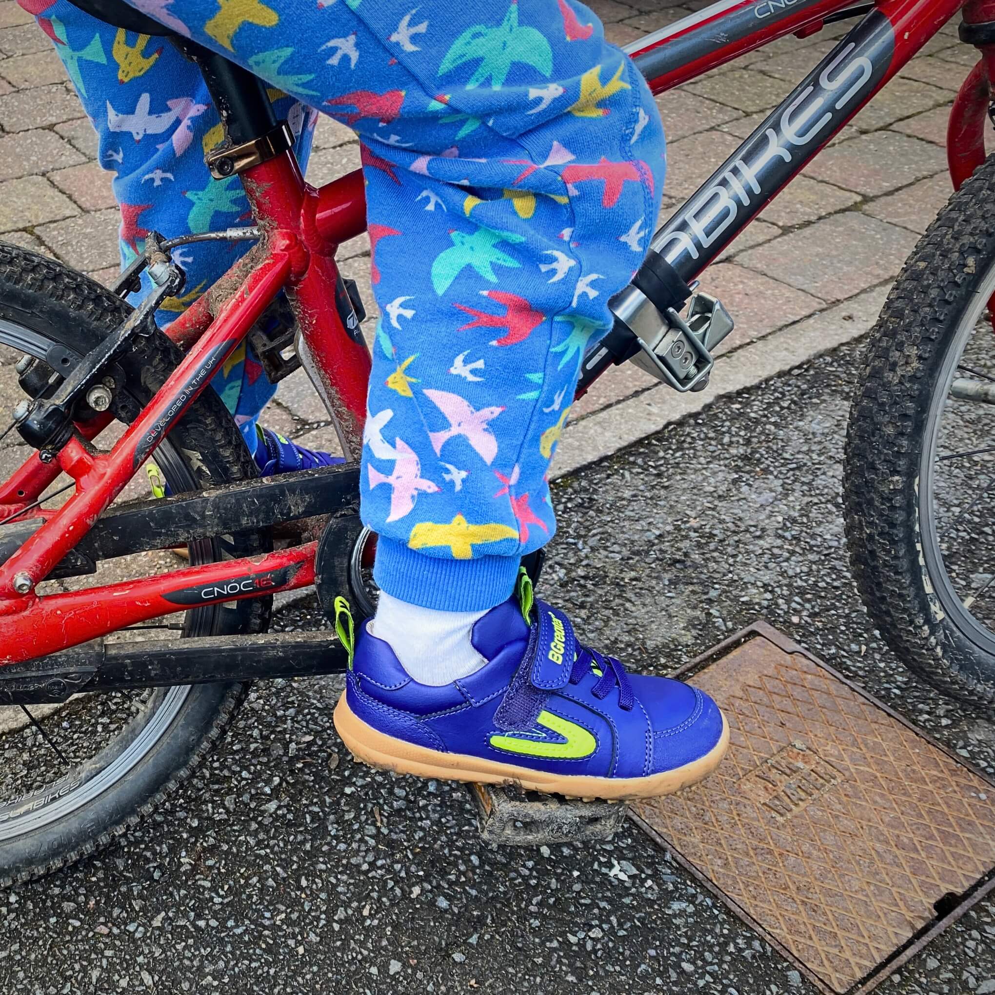 All Seasons Lev - Royal Blue - Image 4